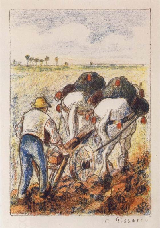 Camille Pissarro The ploughman China oil painting art